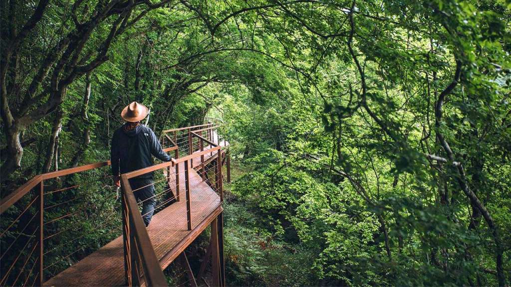 Окрестности Кобулети